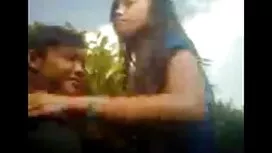 Những người đàn pim  ...