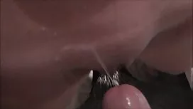 Tình dục trẻ pim sec ...