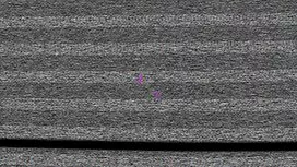 Tước còn trinh, vi d ...