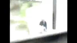 Cực pim sec thu dam  ...