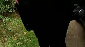 Bạn gái của mình tro ...