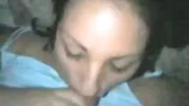 Hoàn hảo chó pim sec ...