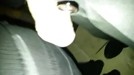 Trên trang trại ở ph ...