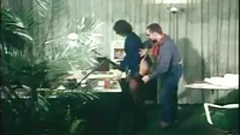 Vẻ đẹp trẻ pim sec t ...