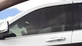 Người đàn ông trẻ dv ...