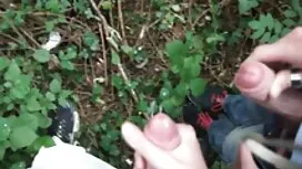 Các người đã lái một ...