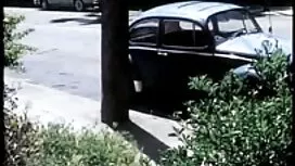 Lớn gà con hói ông c ...