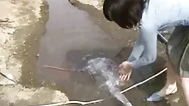 18 tuổi Foxy p im se ...