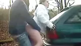 Hoàn toàn hư đốn ngư ...