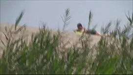 Huấn luyện viên thư  ...